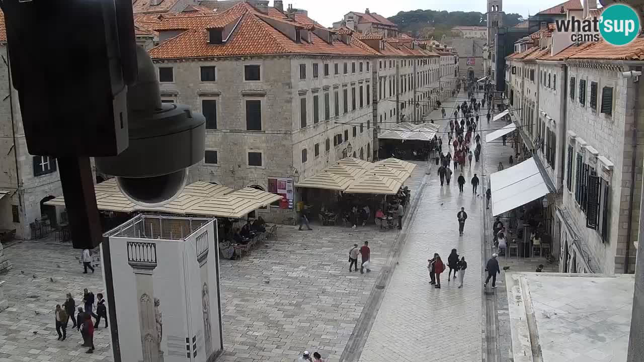 Live Webcam Dubrovnik Stradun
