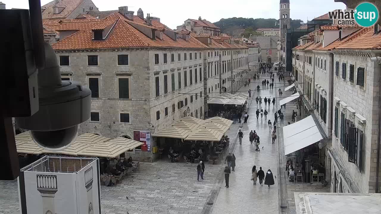 Live Webcam Dubrovnik Stradun