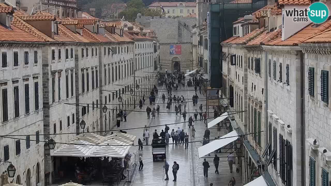 Livecam Dubrovnik Stradun