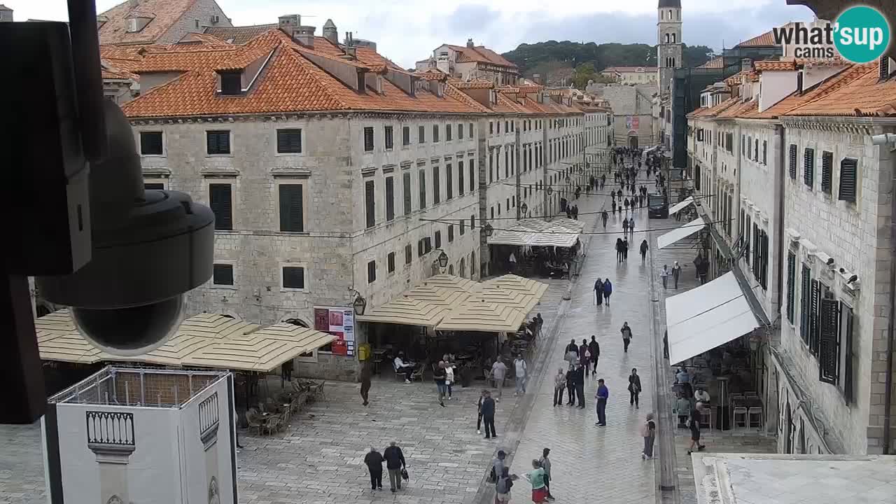 Live Webcam Dubrovnik Stradun