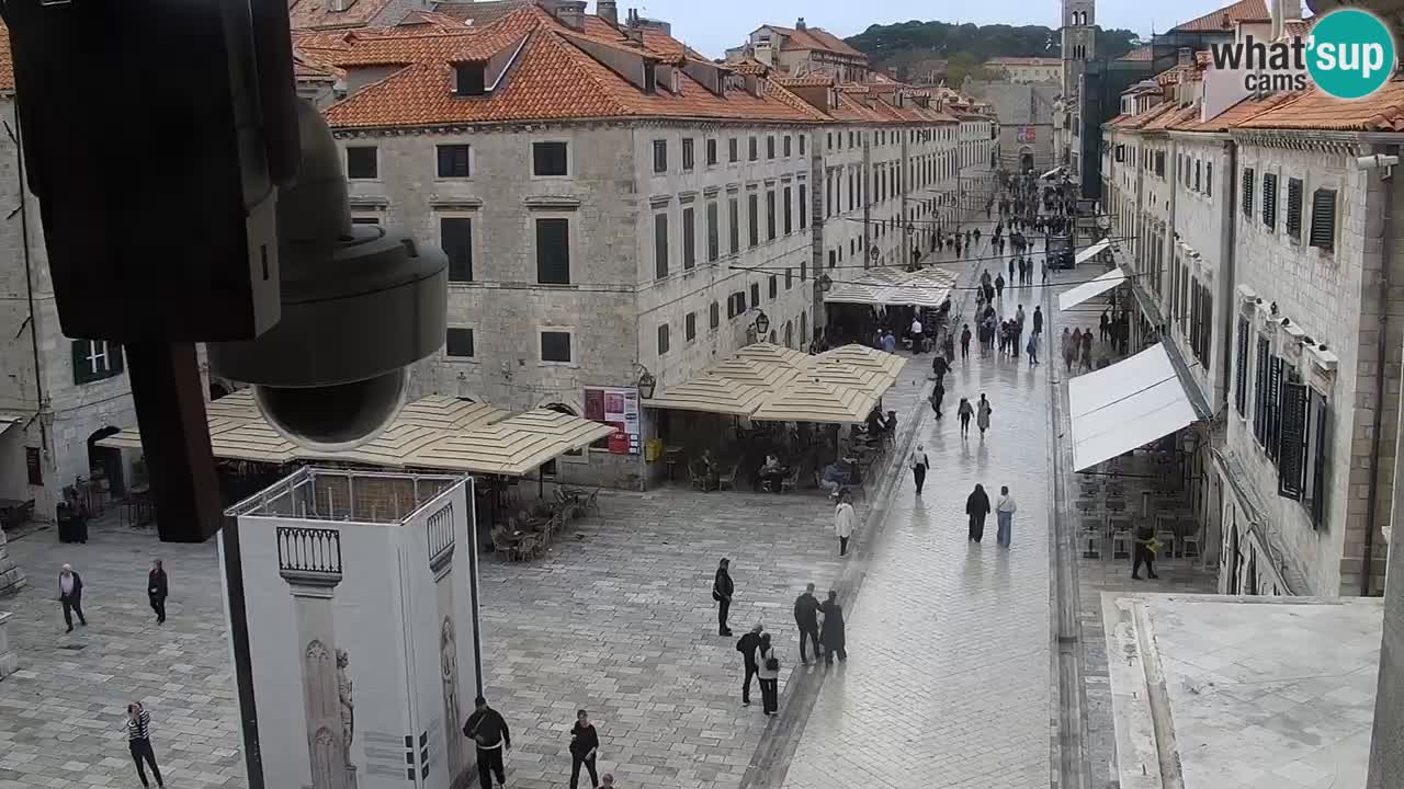 Camera en vivo Dubrovnik Stradun
