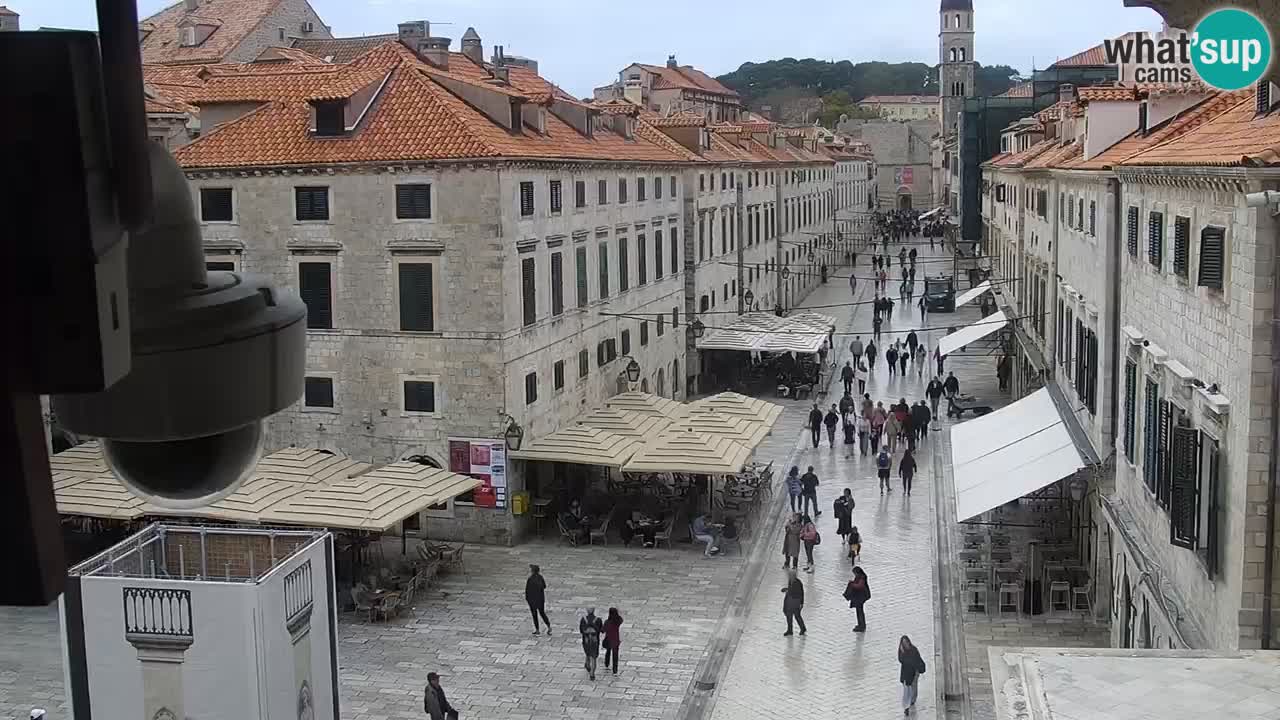 Camera en vivo Dubrovnik Stradun