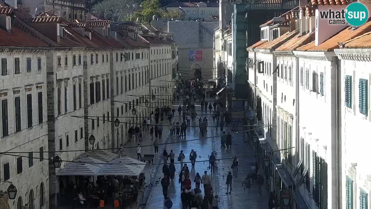 Live Webcam Dubrovnik Stradun