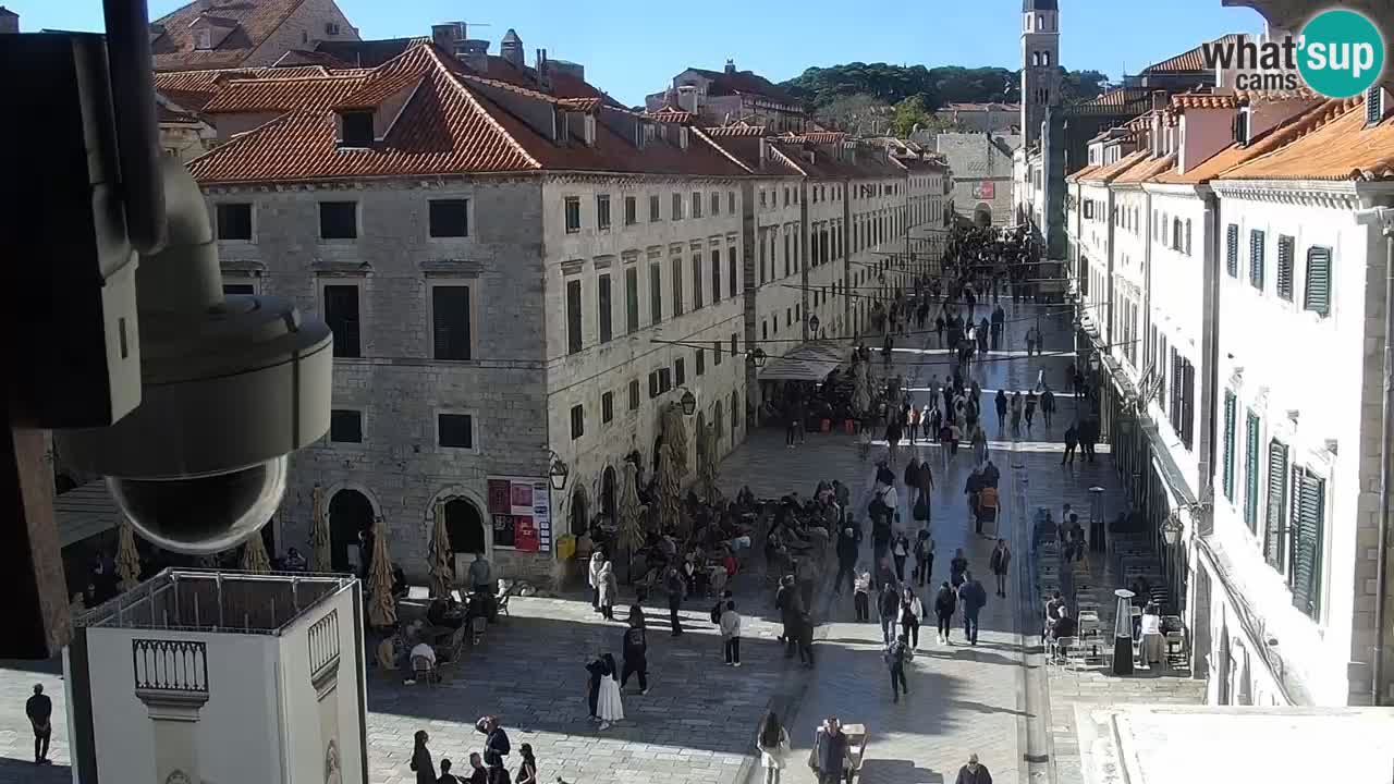 Webcam Ragusa (Dubrovnik) Stradun