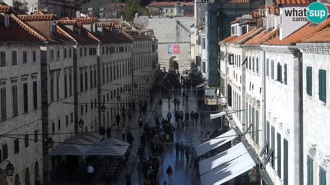 Camera en vivo Dubrovnik Stradun