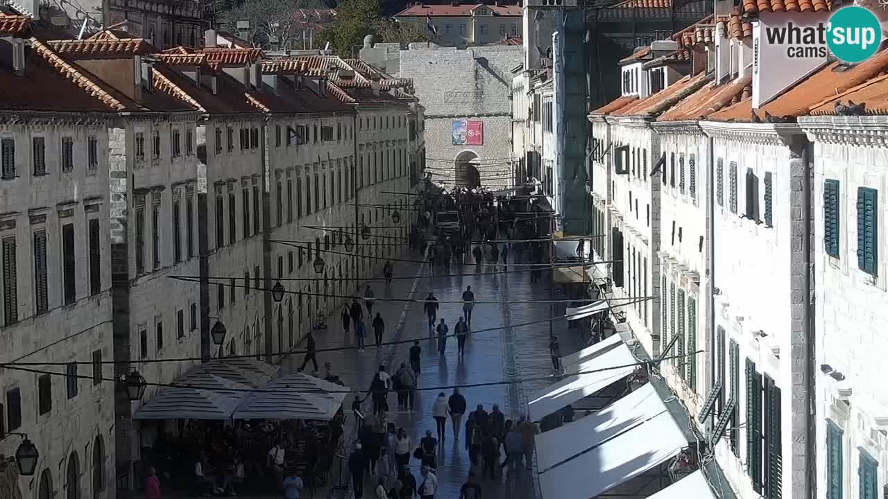Live Webcam Dubrovnik Stradun
