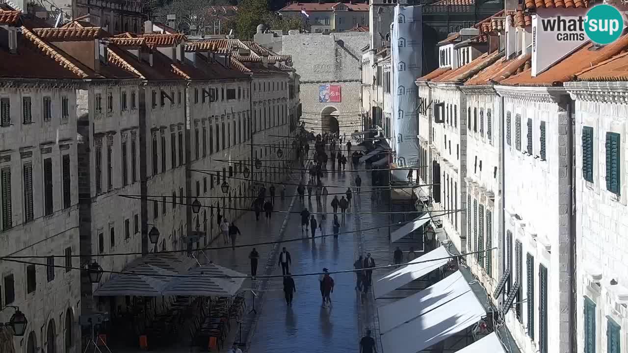 Livecam Dubrovnik Stradun