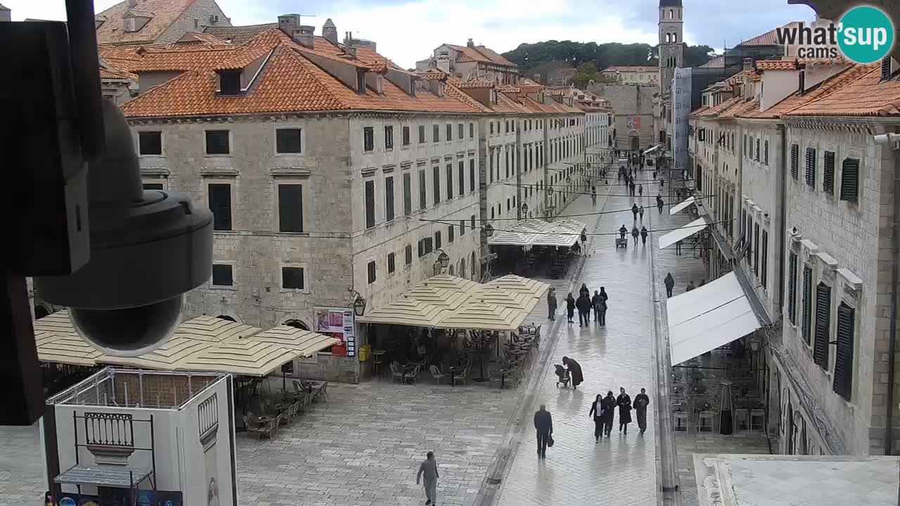 Camera en vivo Dubrovnik Stradun