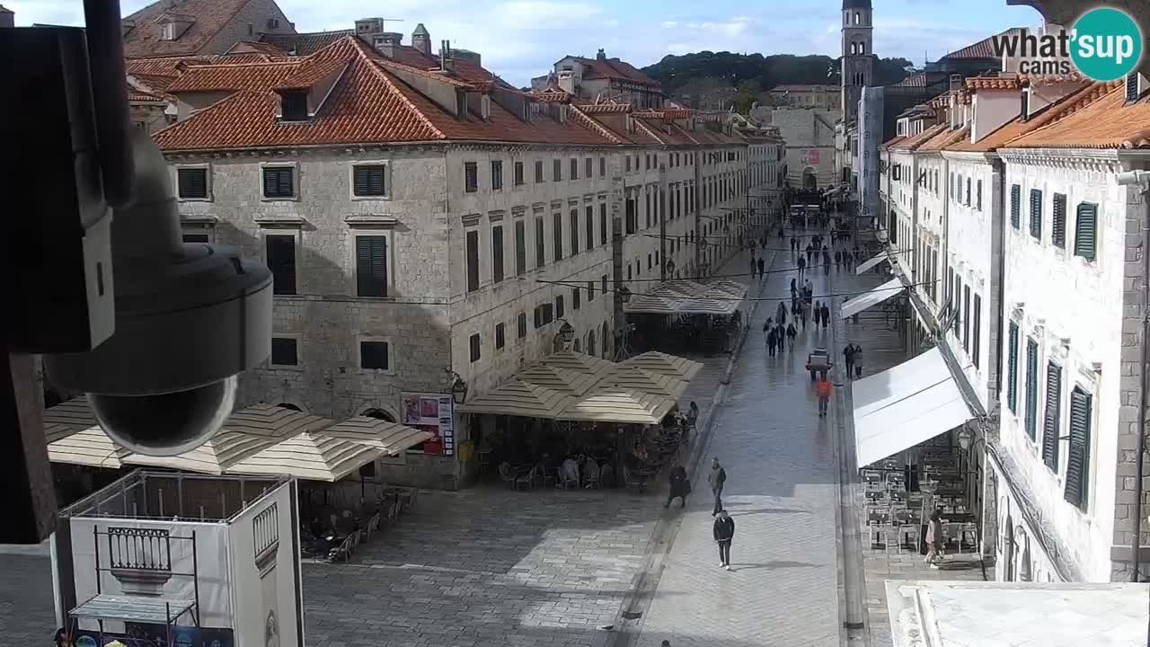 Livecam Dubrovnik Stradun