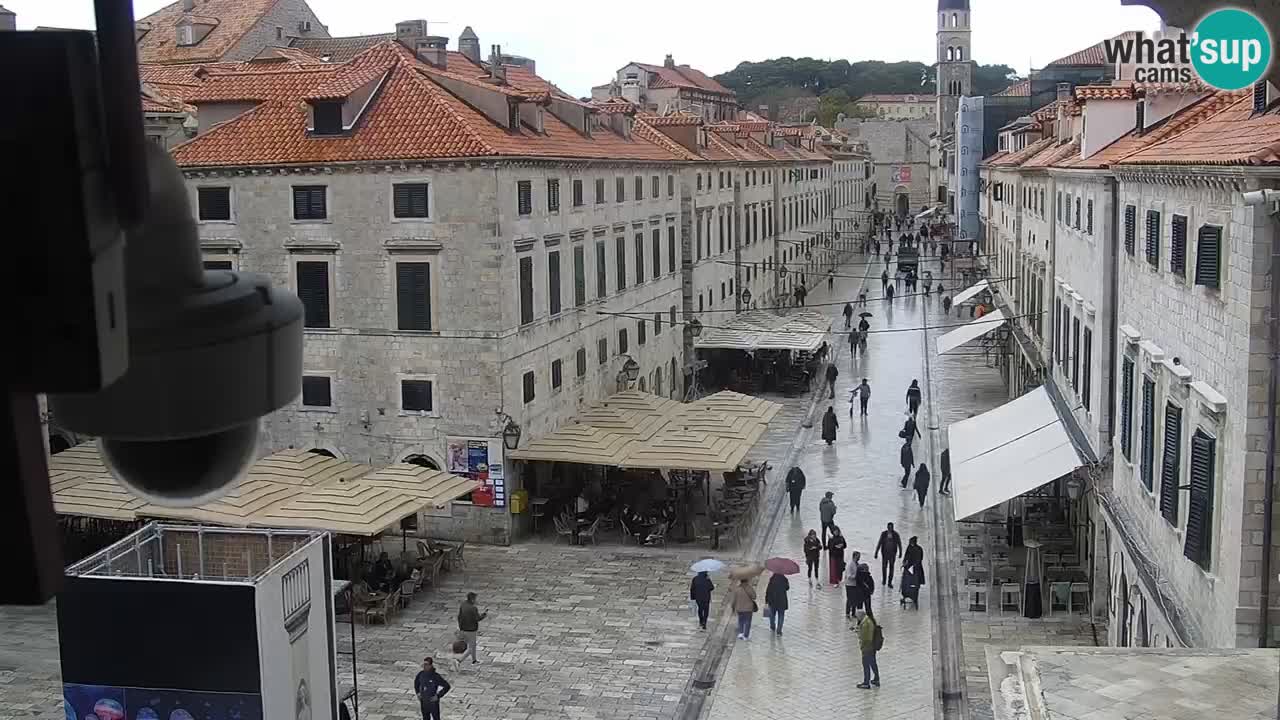 Camera en vivo Dubrovnik Stradun