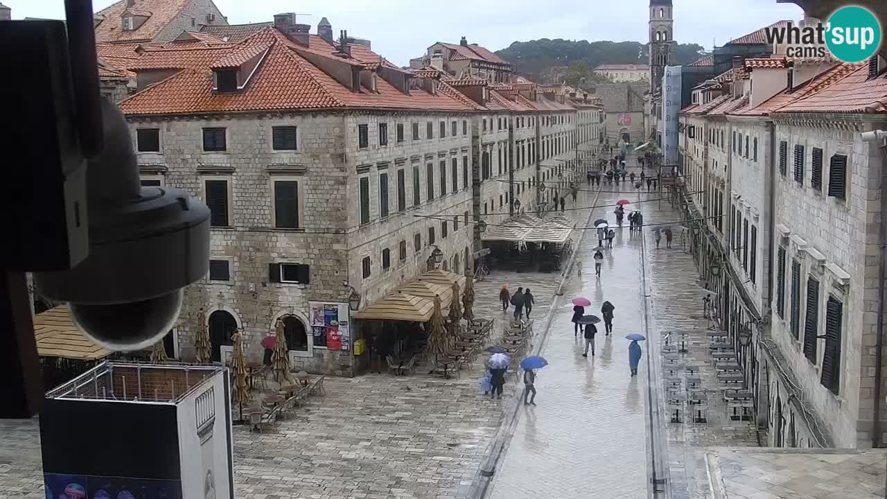 Livecam Dubrovnik Stradun