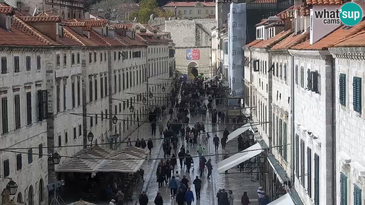 Live Webcam Dubrovnik Stradun