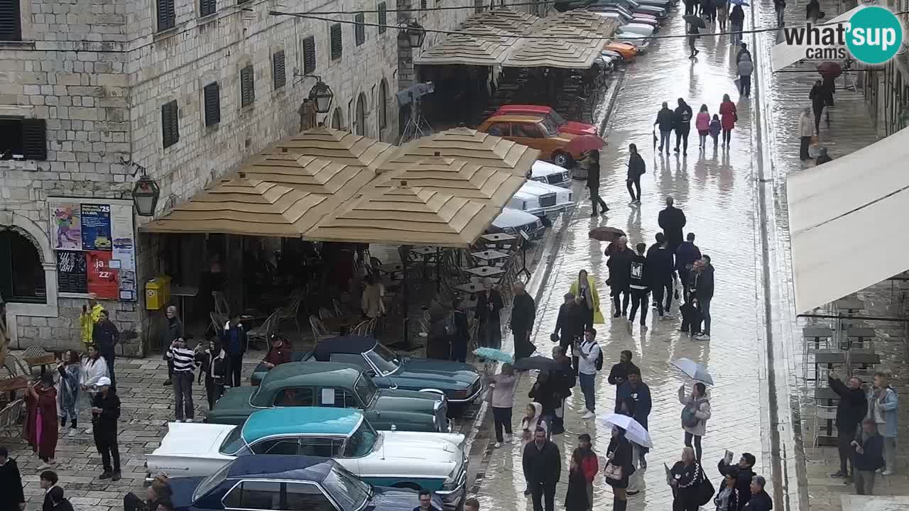 Livecam Dubrovnik Stradun