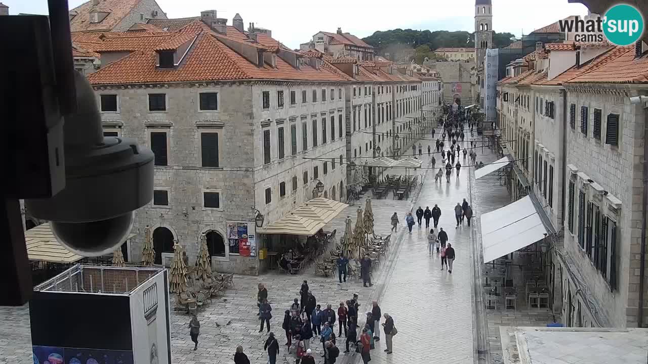 Live Webcam Dubrovnik Stradun