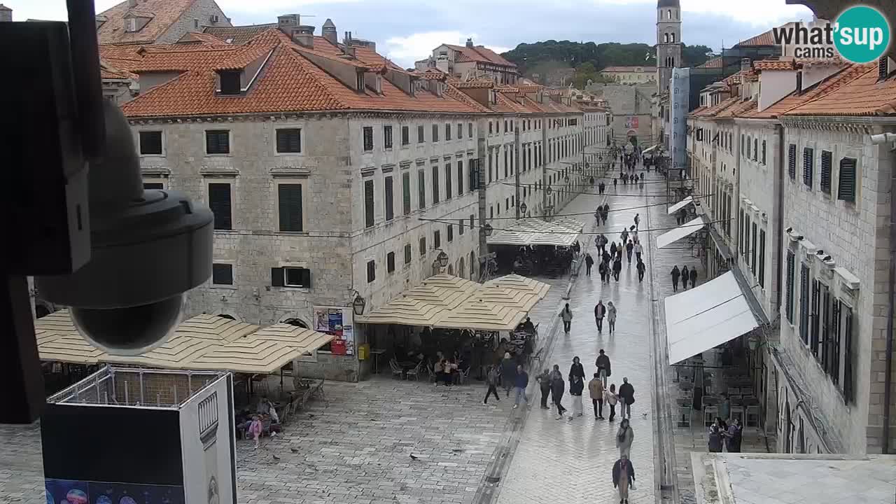 Camera en vivo Dubrovnik Stradun