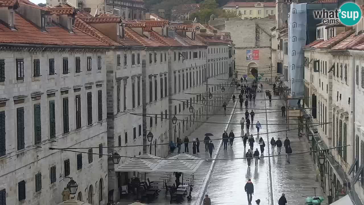 Live Webcam Dubrovnik Stradun