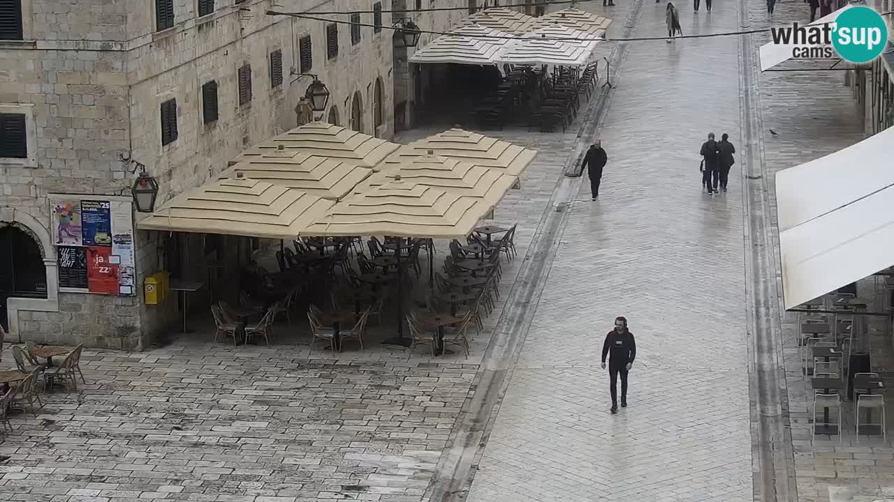 Livecam Dubrovnik Stradun