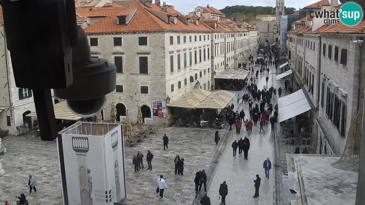 Webcam Ragusa (Dubrovnik) Stradun