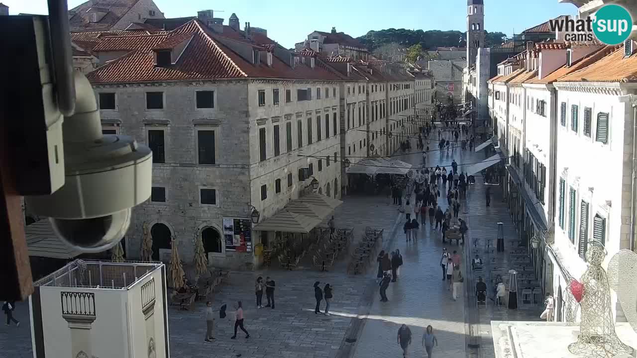 Livecam Dubrovnik Stradun