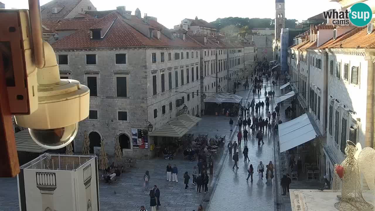 Livecam Dubrovnik Stradun
