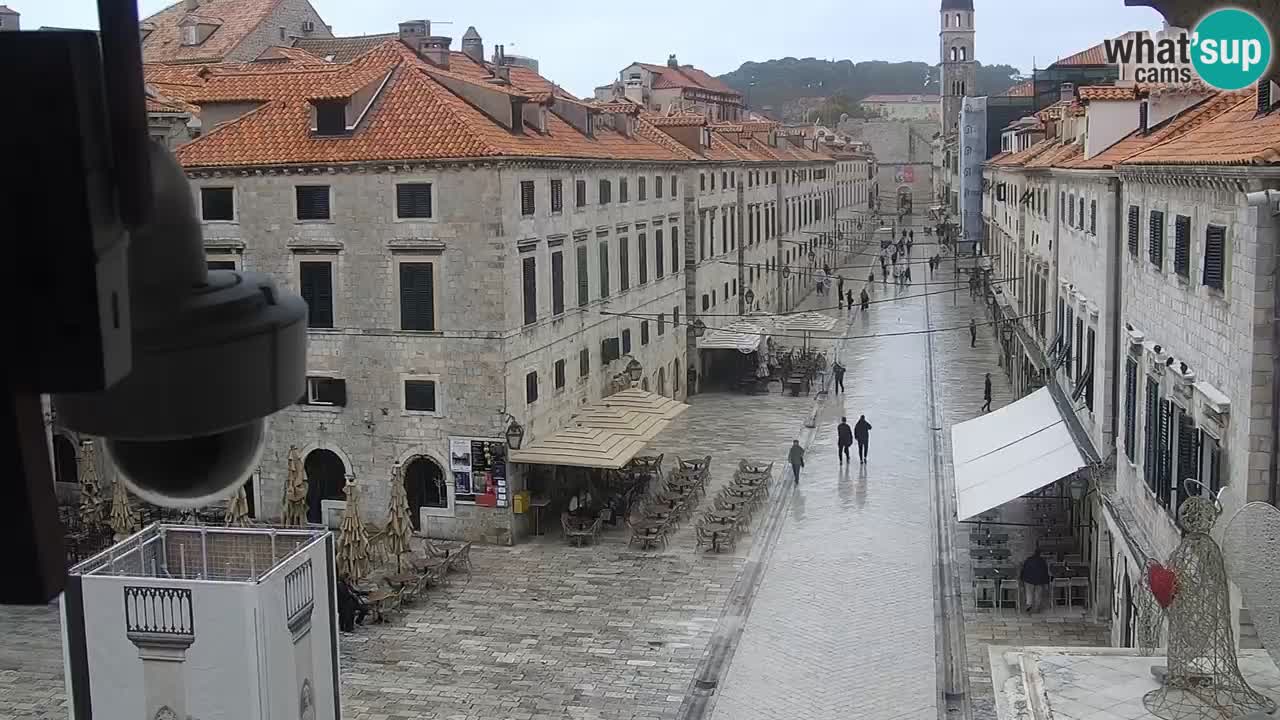 Livecam Dubrovnik Stradun