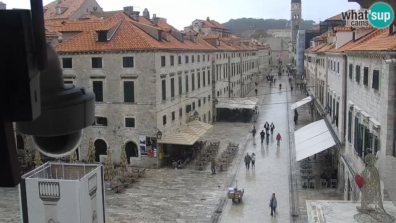 Livecam Dubrovnik Stradun