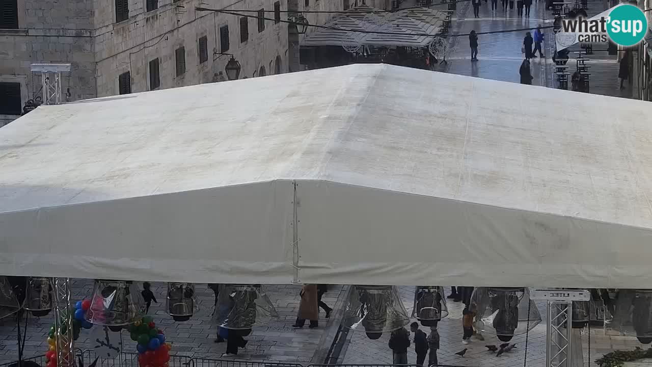 Live Webcam Dubrovnik Stradun