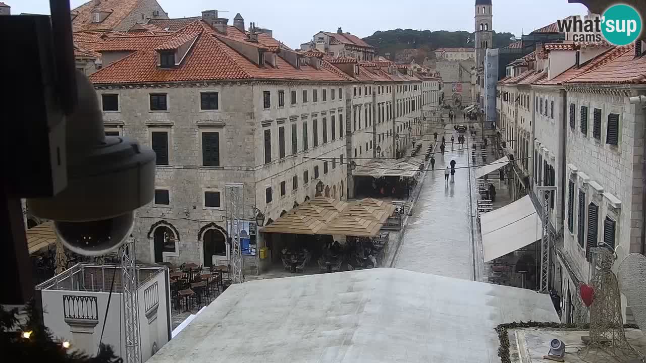 Live Webcam Dubrovnik Stradun