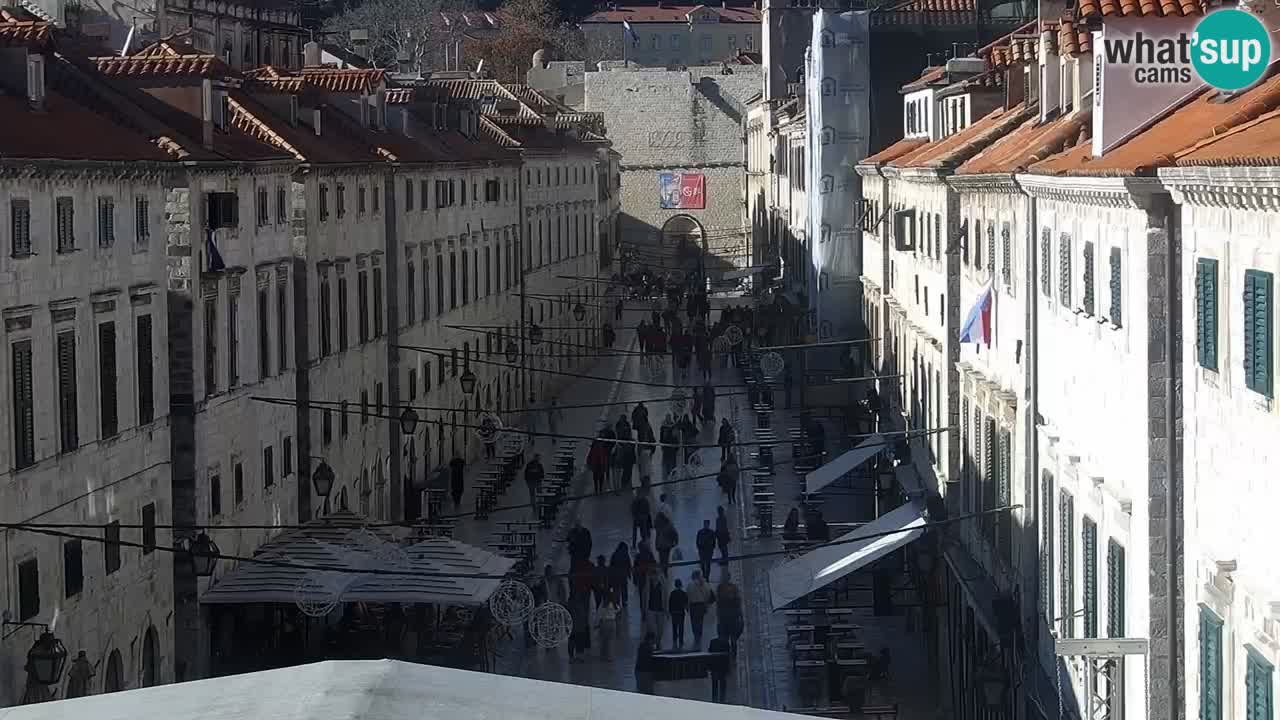 Live Webcam Dubrovnik Stradun