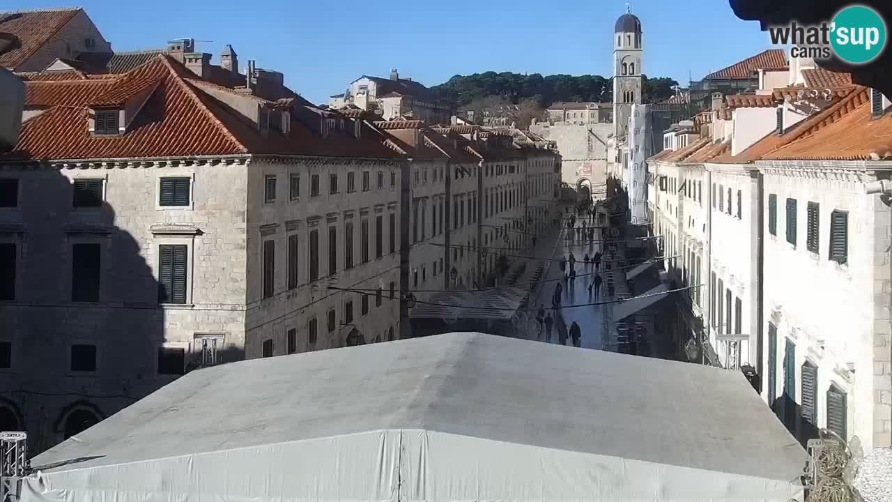 Live Webcam Dubrovnik Stradun
