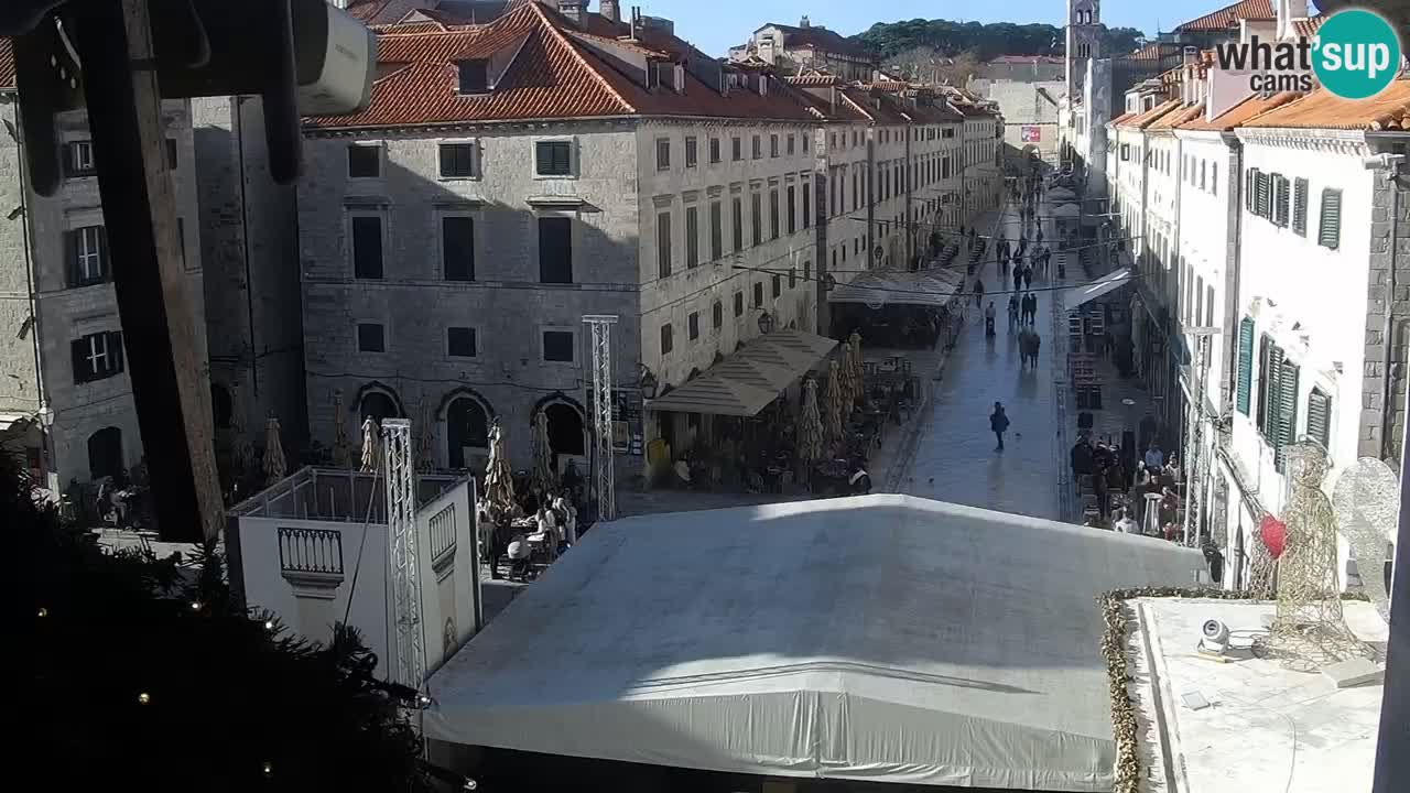 Live Webcam Dubrovnik Stradun