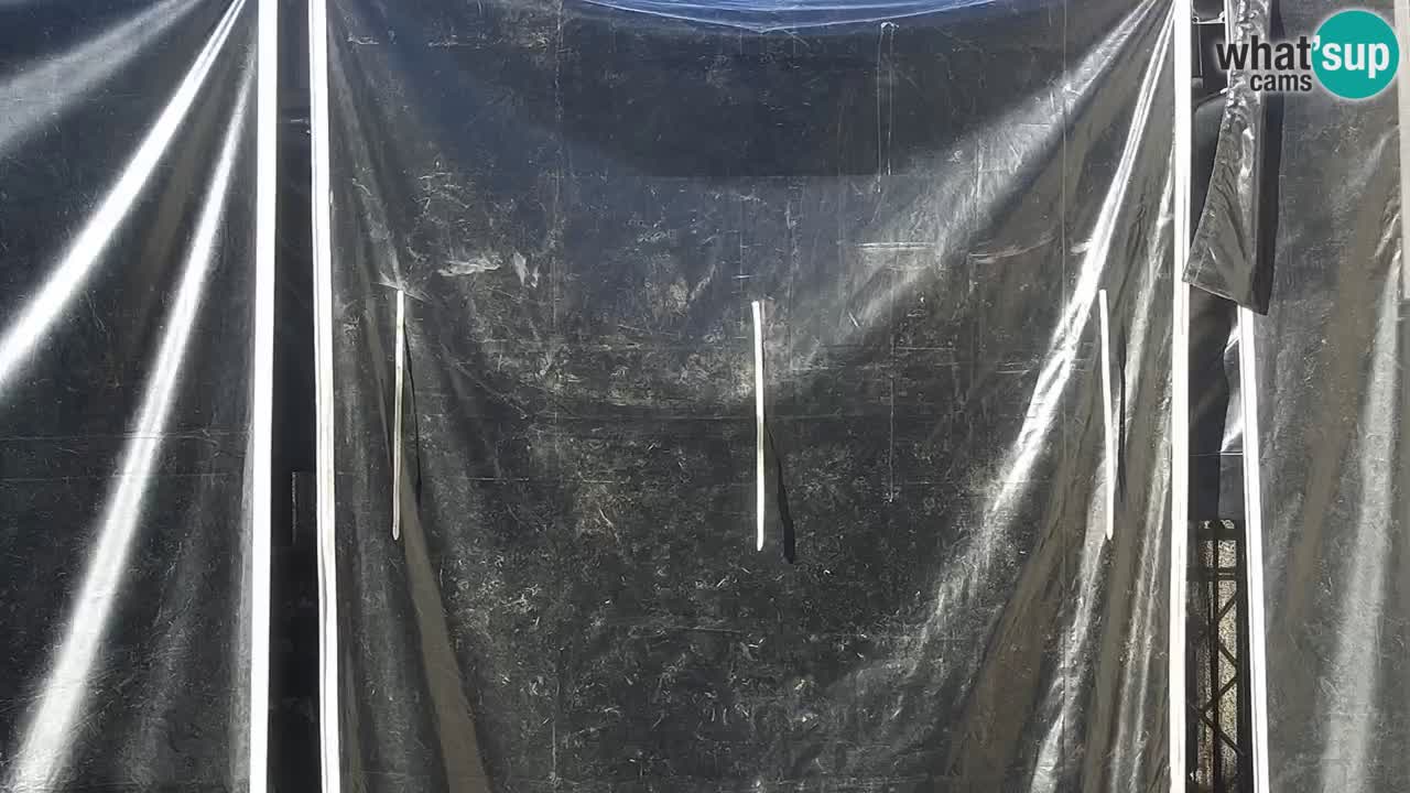 Livecam Dubrovnik Stradun