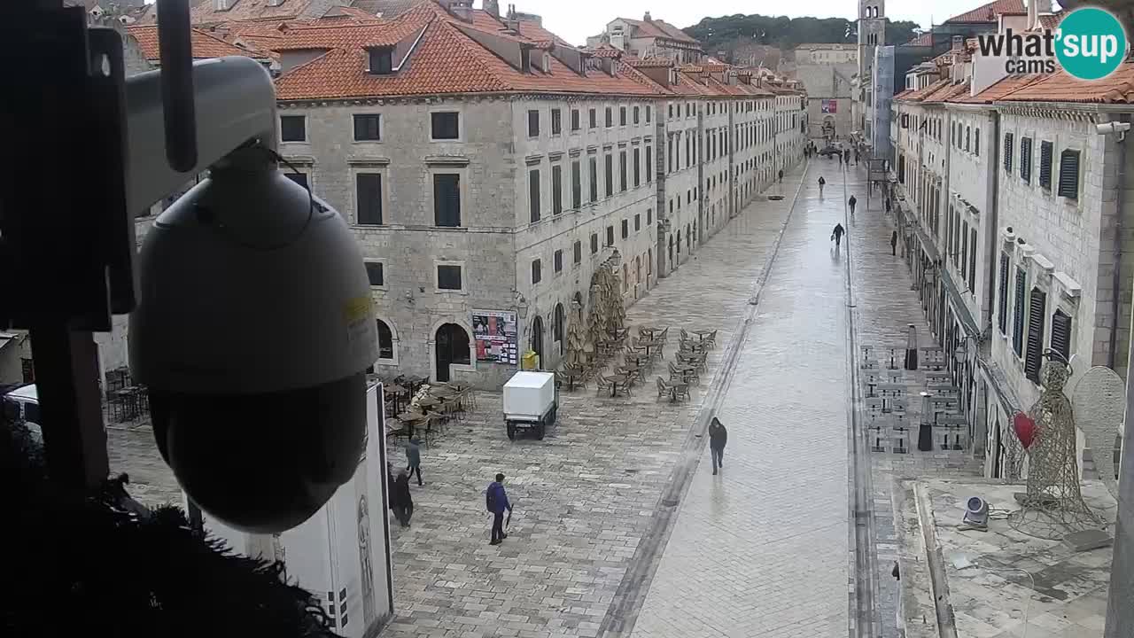 Livecam Dubrovnik Stradun