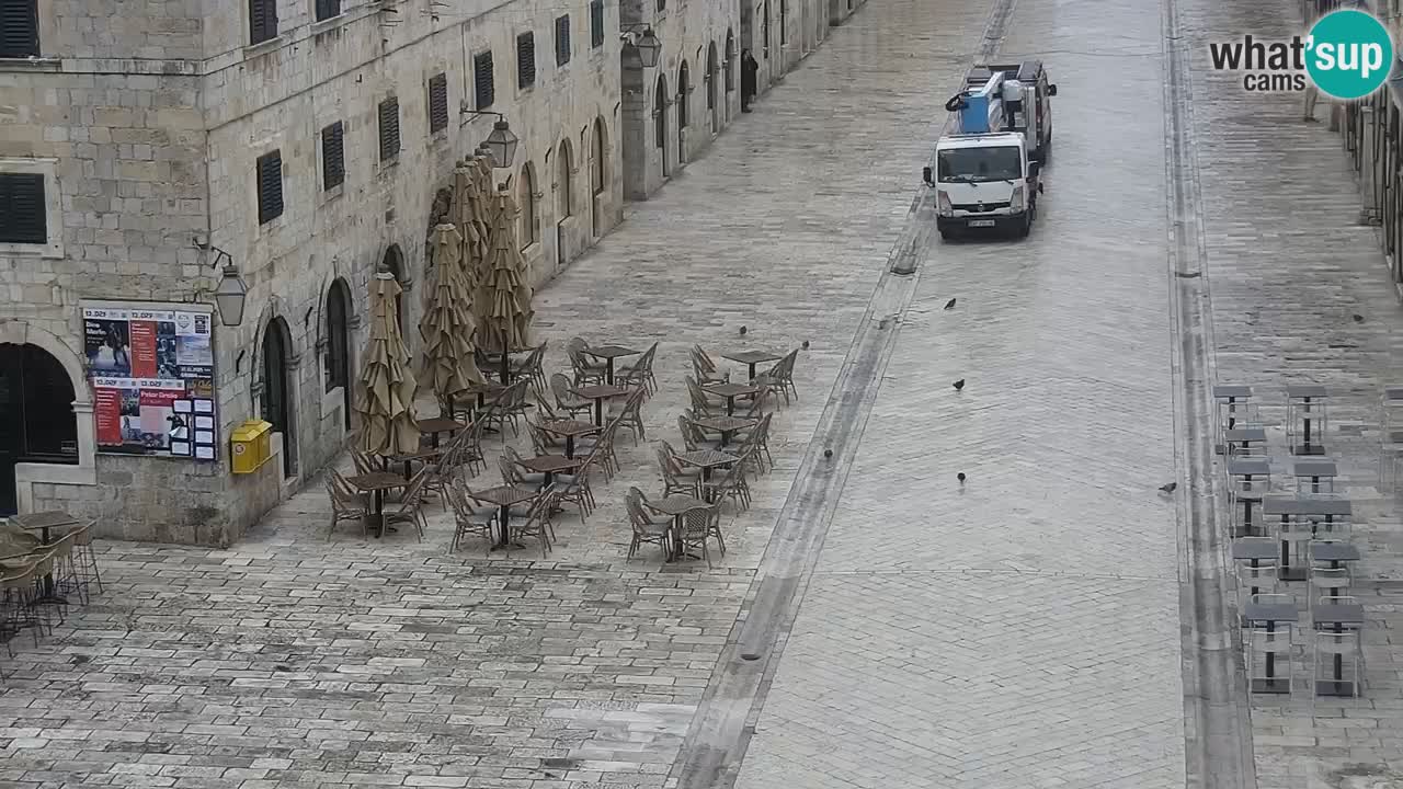 Camera en vivo Dubrovnik Stradun