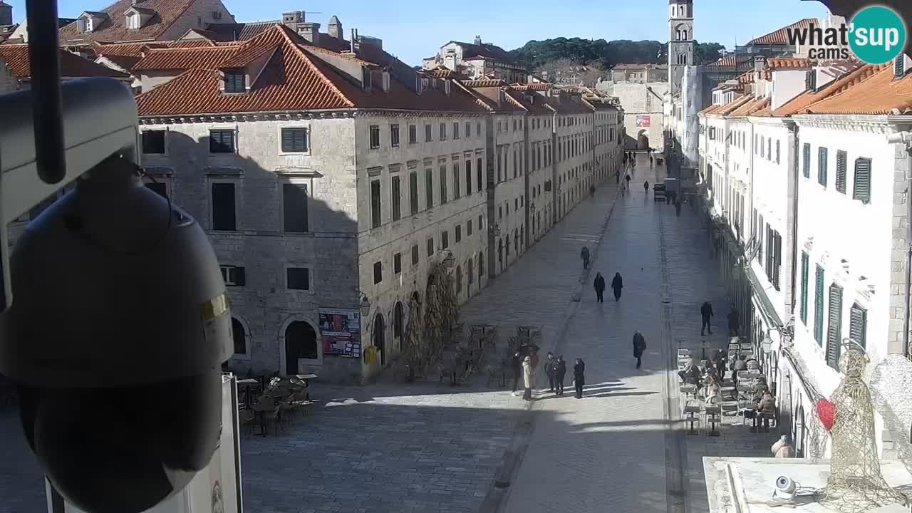 Live Webcam Dubrovnik Stradun