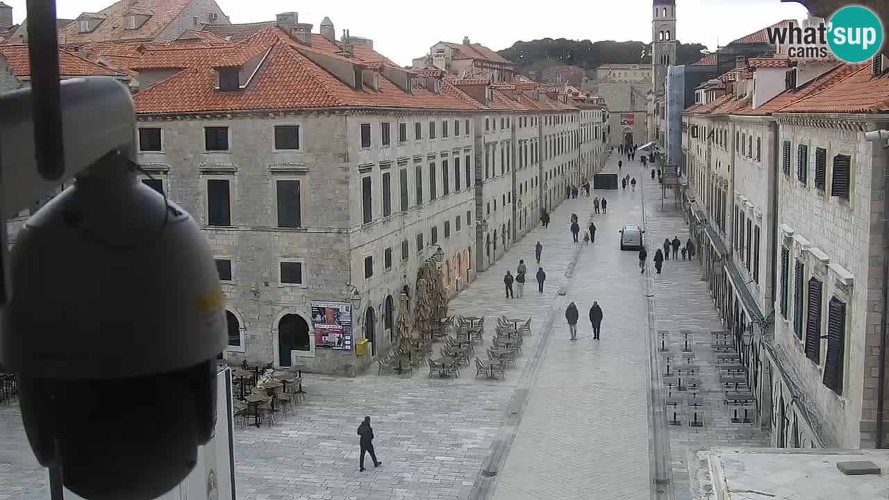 Live Webcam Dubrovnik Stradun