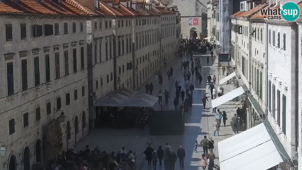 Camera en vivo Dubrovnik Stradun