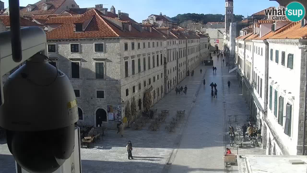 Livecam Dubrovnik Stradun
