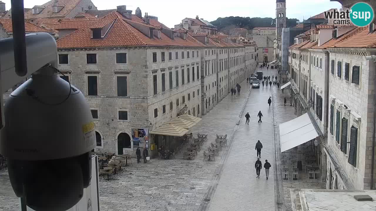Live Webcam Dubrovnik Stradun