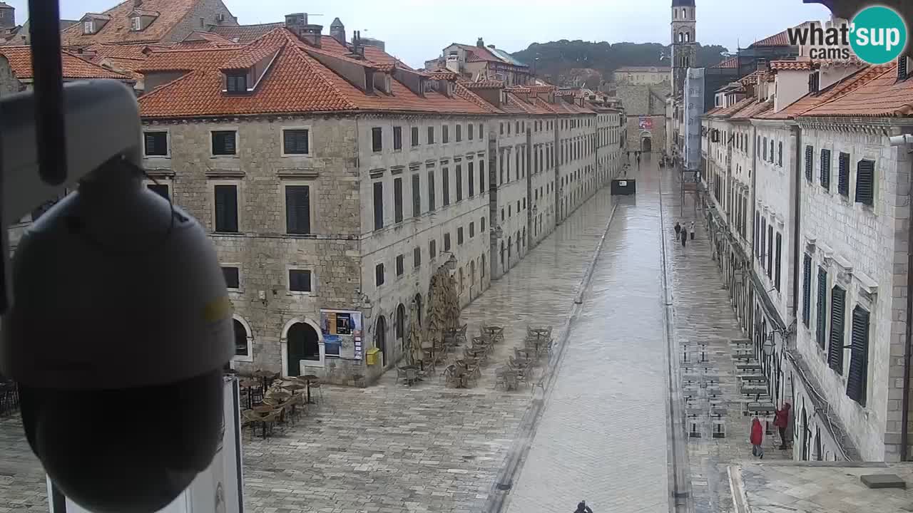 Live Webcam Dubrovnik Stradun