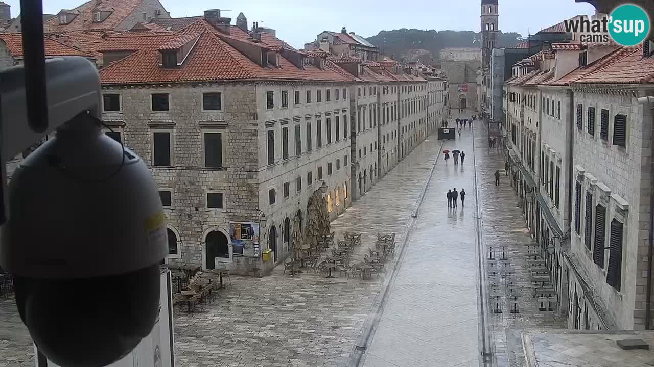 Livecam Dubrovnik Stradun