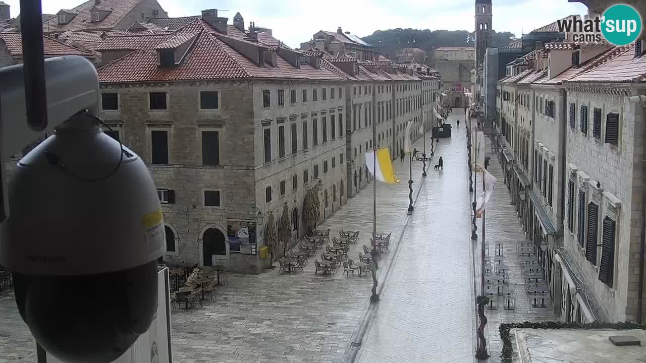 Live Webcam Dubrovnik Stradun