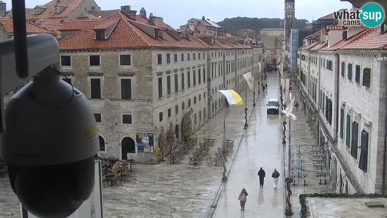 Live Webcam Dubrovnik Stradun