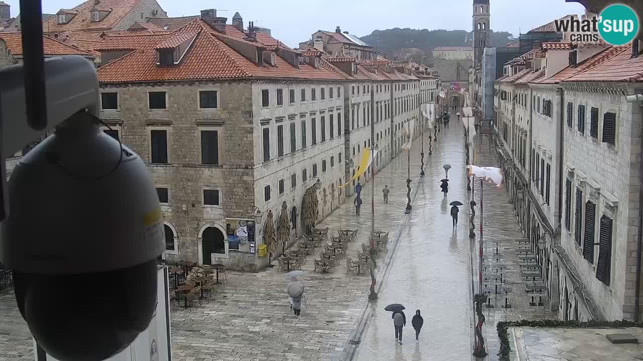 Live Webcam Dubrovnik Stradun