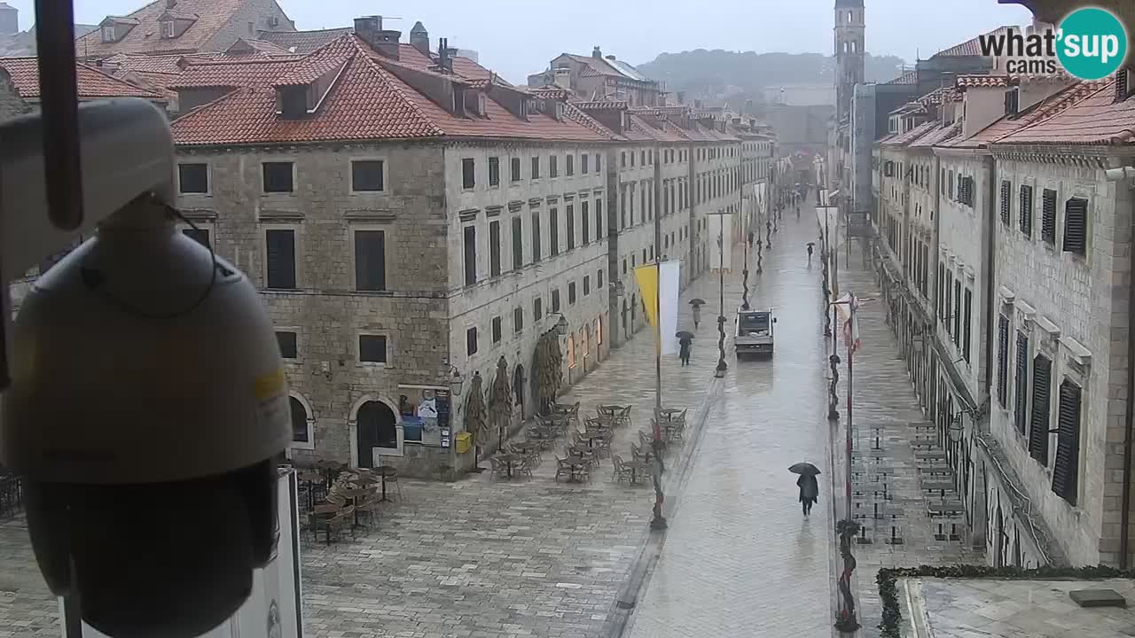 Live Webcam Dubrovnik Stradun