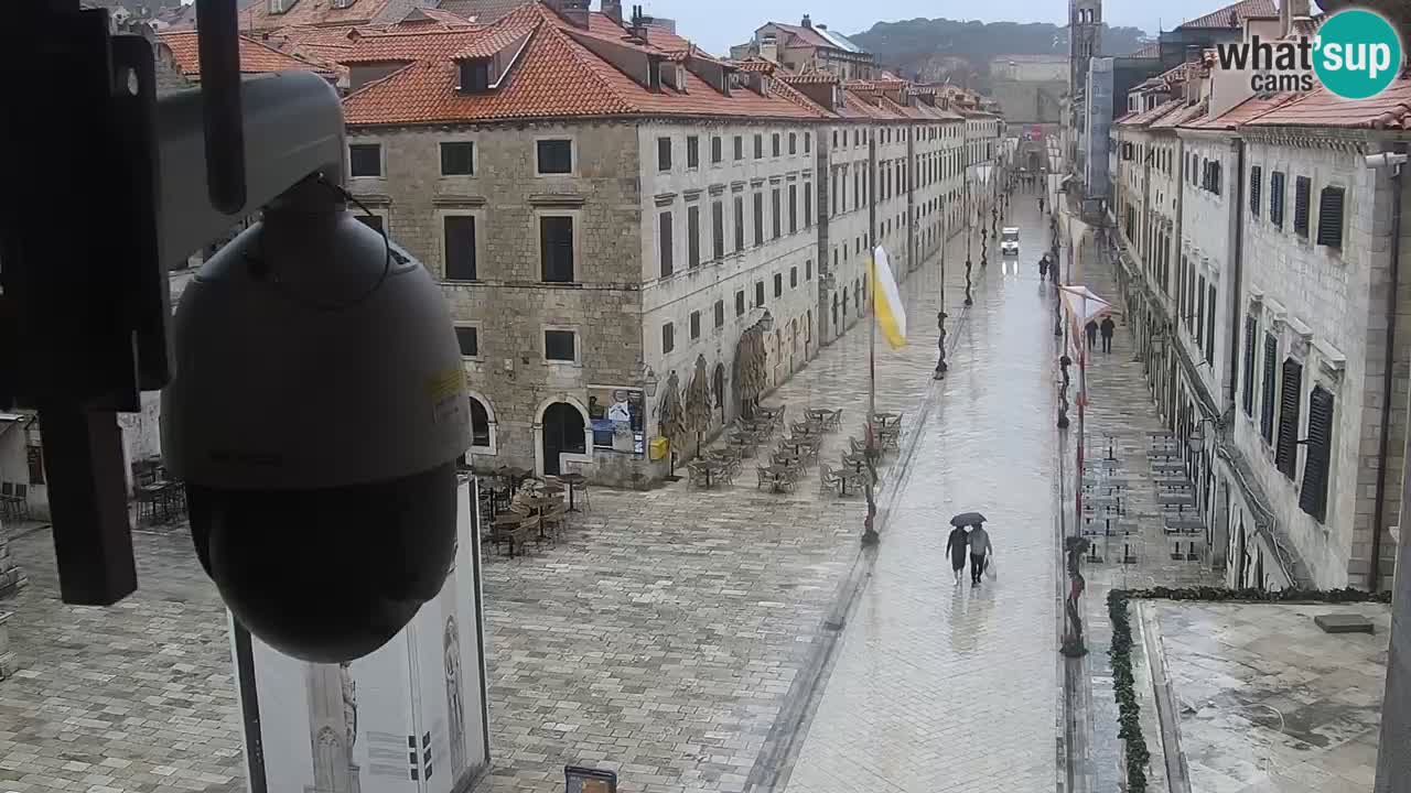Live Webcam Dubrovnik Stradun