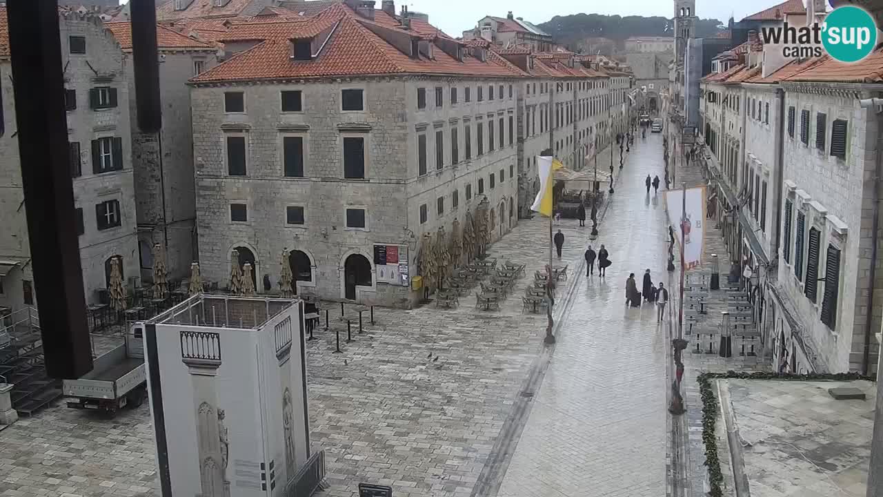Livecam Dubrovnik Stradun