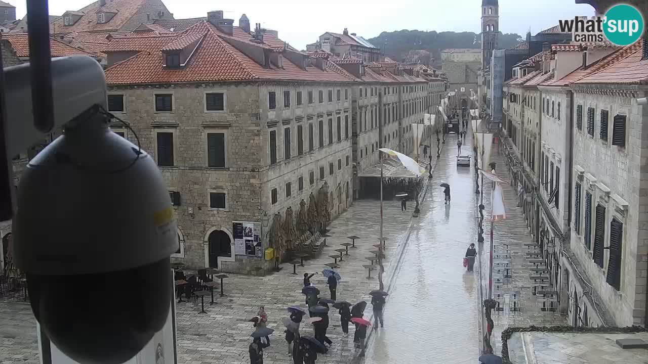 Livecam Dubrovnik Stradun