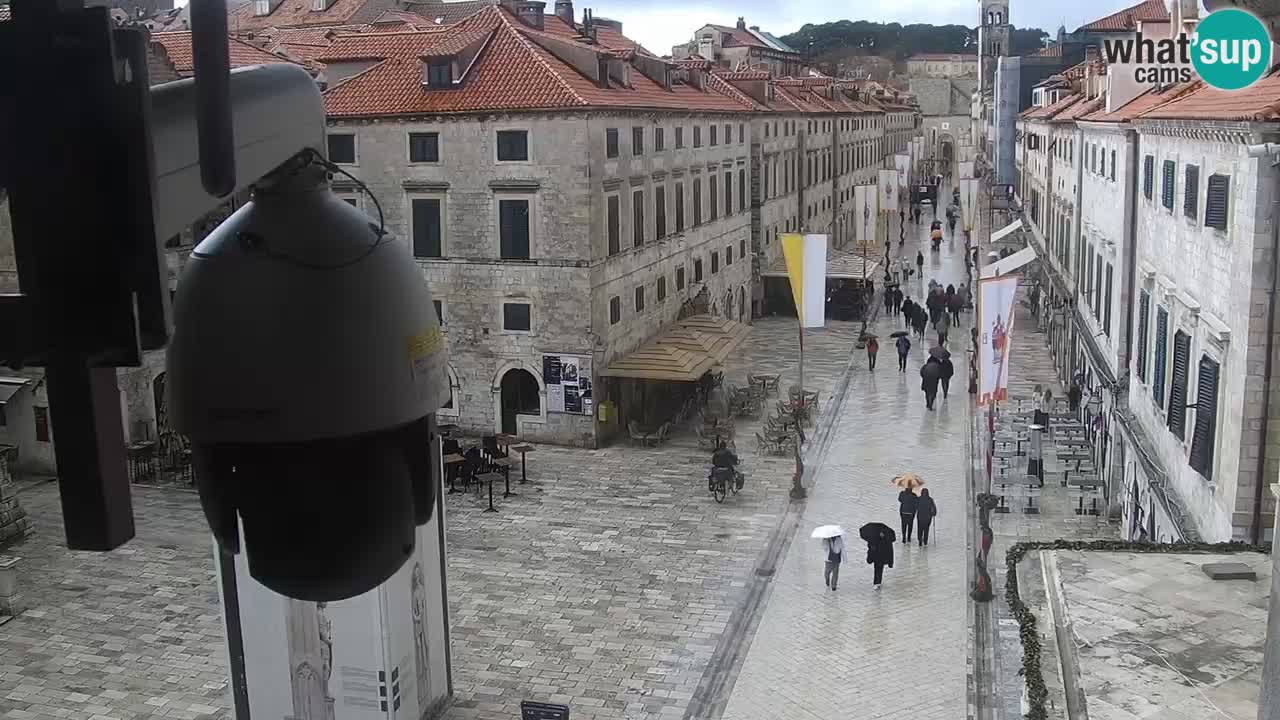 Live Webcam Dubrovnik Stradun