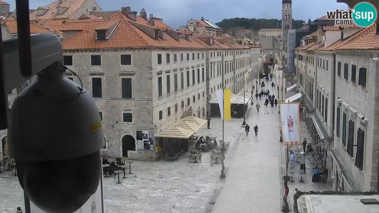 Livecam Dubrovnik Stradun